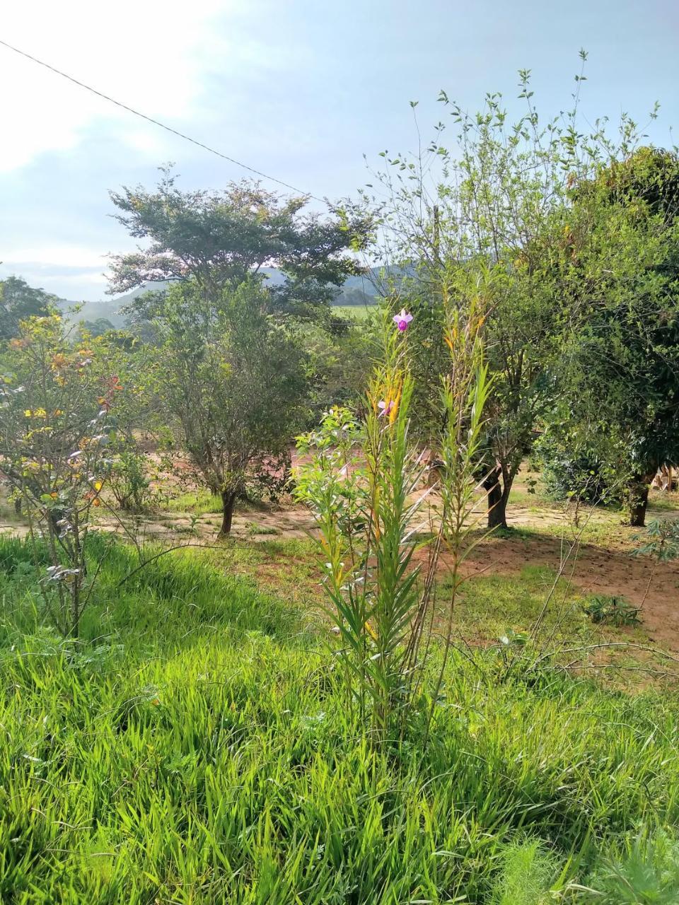 Sitio Vale Das Montanhas São Tomé das Letras Exteriér fotografie